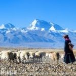 冬季里的极地阿里，挥之不去的西藏情愫